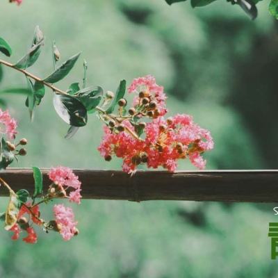 天博tb·体育综合下载手机版